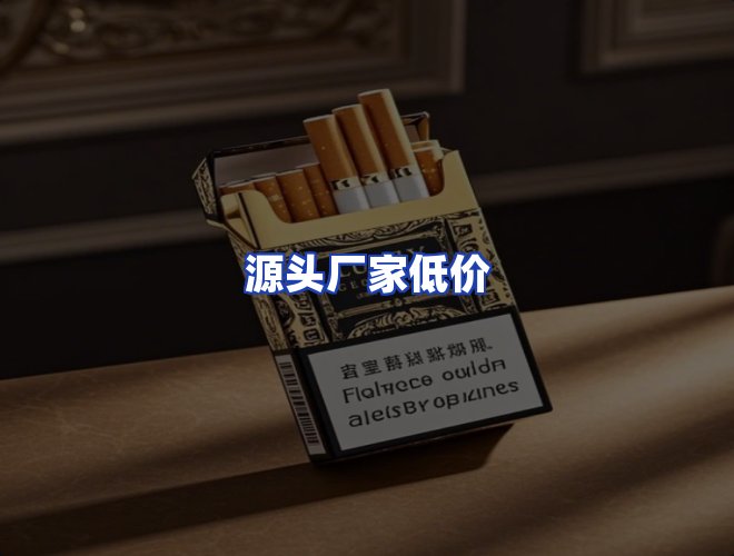 专业团队